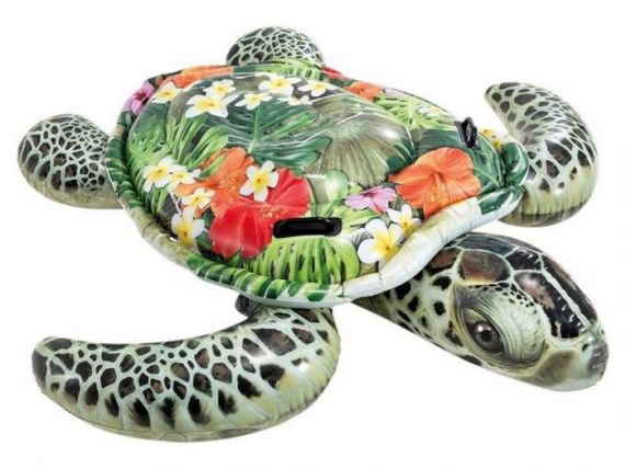 Ongeautoriseerd Kruiden Bejaarden Intex Zee Schildpad Ride-On - Zwembad kopen?
